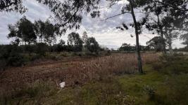 Terreno en Piriápolis (Barra de Portezuelo) Ref. 6038