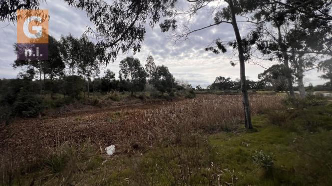 Terreno en Piriápolis (Barra de Portezuelo) Ref. 6038