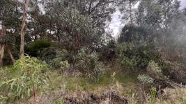 Terreno en Piriápolis (Barra de Portezuelo) Ref. 6038