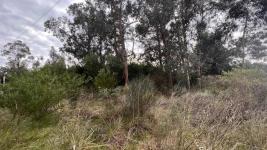 Terreno en Piriápolis (Barra de Portezuelo) Ref. 6038