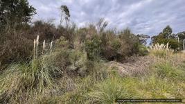 Terreno en Piriápolis (Barra de Portezuelo) Ref. 6093