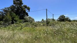 Terreno en Piriápolis (Barra de Portezuelo) Ref. 6424