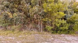 Terreno en Piriápolis (Barra de Portezuelo) Ref.7191
