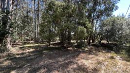 Terreno en Piriápolis (Bella Vista) Ref. 5629