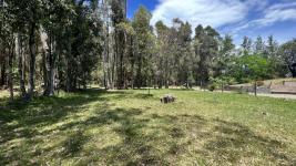 Terreno en Piriápolis (Bella Vista) Ref. 5640