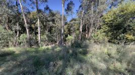 Terreno en Piriápolis (Bella Vista) Ref. 6732