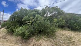 Terreno en Piriápolis (Cerro del Toro (Falda)) Ref. 6946