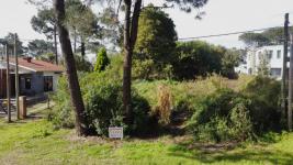 Terreno en Piriápolis (Country) Ref. 6701