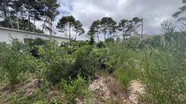 Terreno en Piriápolis (Country) Ref. 6945