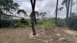 Terreno en Piriápolis (Country) Ref. 6945