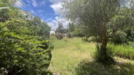 Terreno en Piriápolis (Country) Ref. 6952