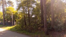 Terreno en Piriápolis (Country) Ref.2459