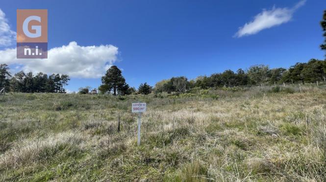 Terreno en Piriápolis (Las Flores) Ref. 5509