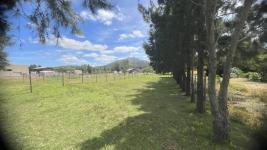 Terreno en Piriápolis (Piriapolis) Ref. 6356