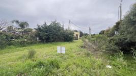 Terreno en Piriápolis (Playa Grande) Ref. 6807