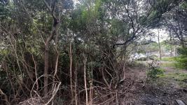 Terreno en Piriápolis (Playa Hermosa) Ref. 4765
