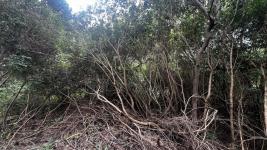 Terreno en Piriápolis (Playa Hermosa) Ref. 4765