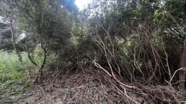 Terreno en Piriápolis (Playa Hermosa) Ref. 4765
