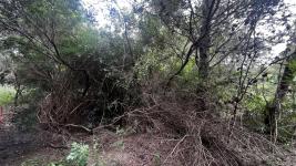 Terreno en Piriápolis (Playa Hermosa) Ref. 4765