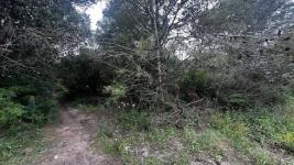 Terreno en Piriápolis (Playa Hermosa) Ref. 4765