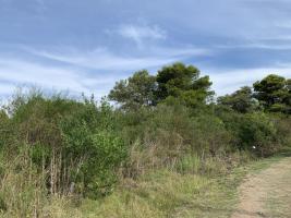 Terreno en Piriápolis (Playa Hermosa) Ref.3042