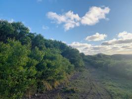 Terreno en Piriápolis (Playa Hermosa) Ref.4127