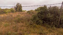 Terreno en Piriápolis (Playa Verde) Ref.7199