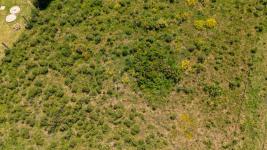 Terreno en Piriápolis (Punta Colorada) Ref.7294