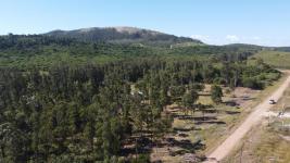 Terreno en Piriápolis (Punta Colorada "TAMBA") Ref.4713