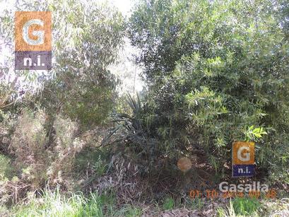 Terreno en Piriápolis (Punta Fría)