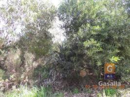 Terreno en Piriápolis (Punta Fría)