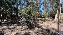 Terreno en Piriápolis (Punta Negra) Ref. 6618