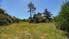 Terreno en Piriápolis (Solís) Ref. 5599