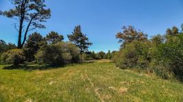 Terreno en Piriápolis (Solís) Ref. 5599