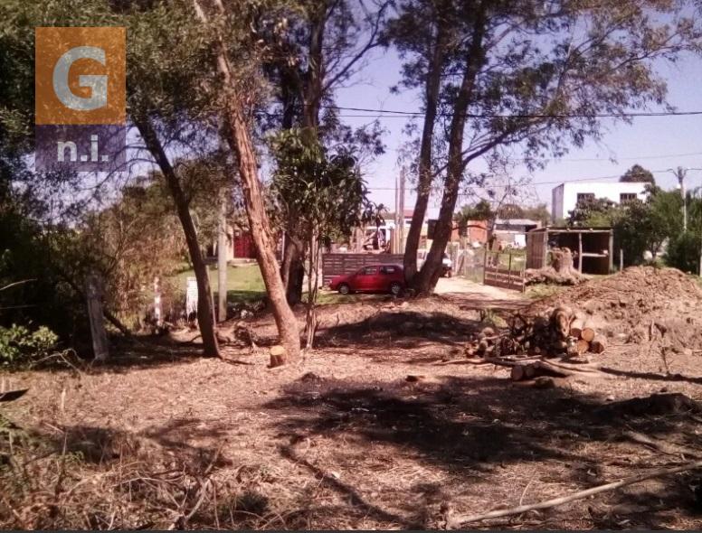 Terreno en Punta del Este (Balneario Buenos Aires) - Ref. 4002