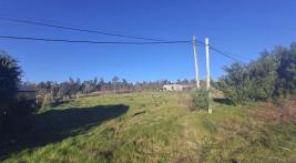Terreno en Punta del Este (El Tesoro) Ref. 6646