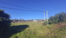 Terreno en Punta del Este (El Tesoro) Ref. 6646