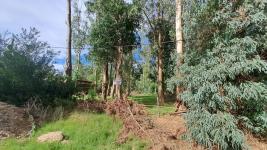 Terreno en Punta del Este (El Tesoro) Ref. 7029