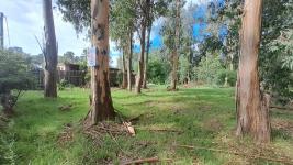 Terreno en Punta del Este (El Tesoro) Ref. 7029