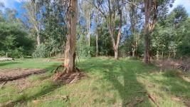Terreno en Punta del Este (El Tesoro) Ref. 7029