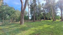 Terreno en Punta del Este (El Tesoro) Ref. 7029