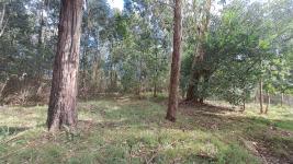 Terreno en Punta del Este (El Tesoro) Ref. 7030