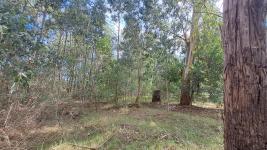 Terreno en Punta del Este (El Tesoro) Ref. 7030