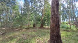 Terreno en Punta del Este (El Tesoro) Ref. 7030