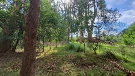 Terreno en Punta del Este (El Tesoro) Ref. 7030