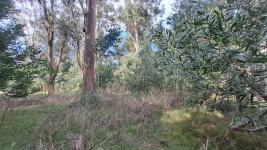 Terreno en Punta del Este (El Tesoro) Ref. 7030