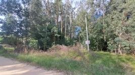 Terreno en Punta del Este (El Tesoro) Ref. 7030