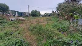 Terreno en Punta del Este (El Tesoro) Ref. 7119