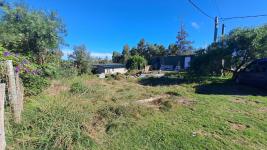 Terreno en Punta del Este (El Tesoro) Ref. 7119