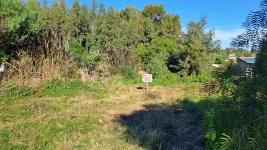 Terreno en Punta del Este (El Tesoro) Ref. 7119